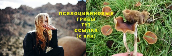 марки nbome Армянск